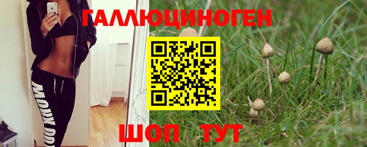 Псилоцибиновые грибы ЛСД Вязники